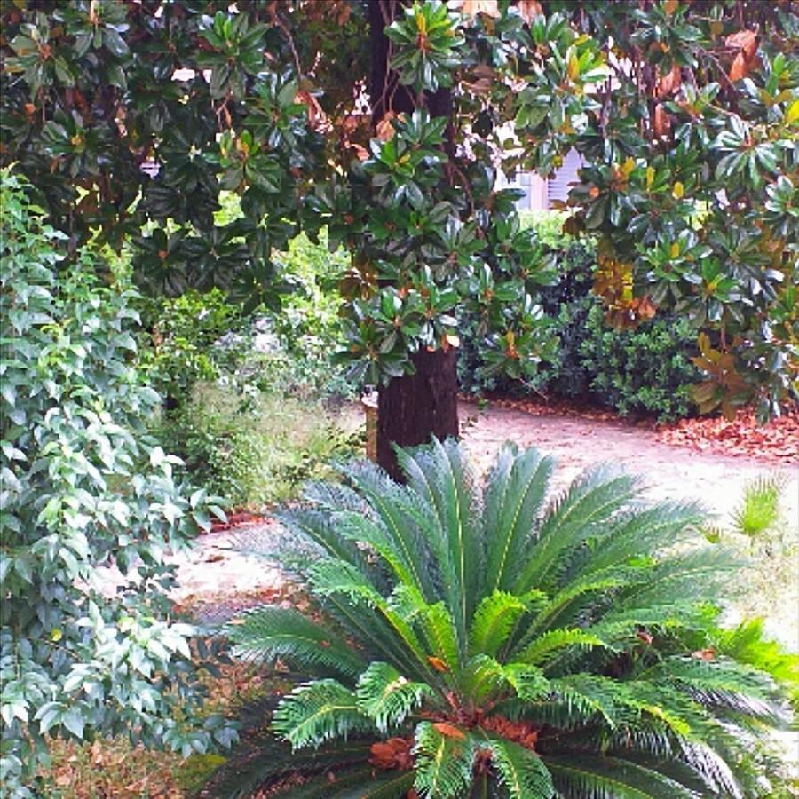 Un Giardino A Due Passi Dal Mare Apartment